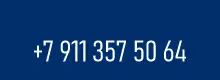 Телефон: +7 911 357 50 64